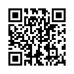 VG95234H2811PN QRCode