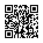 VG95234M366P1N QRCode