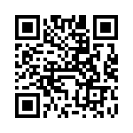 VI-21T-IV-B1 QRCode