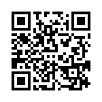 VI-232-IV-B1 QRCode