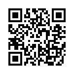 VI-23V-IX-B1 QRCode