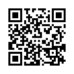 VI-B12-EY-B1 QRCode