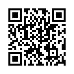 VI-B1V-EV-B1 QRCode