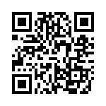 VI-B1V-IX QRCode