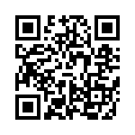 VI-B20-IX-F4 QRCode