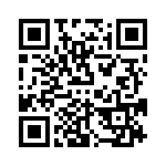 VI-B33-IX-B1 QRCode