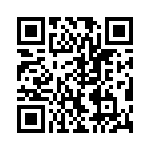 VI-B3R-IX-B1 QRCode