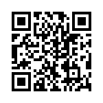 VI-B3T-CV-B1 QRCode