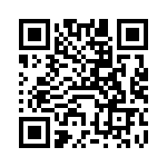 VI-B3T-IV-B1 QRCode