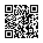 VI-B3T-IY-B1 QRCode