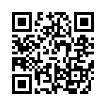 VI-B4B-IV-F4 QRCode