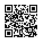 VI-B5T-IV-B1 QRCode