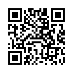 VI-B61-IV-B1 QRCode