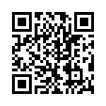 VI-BTZ-EV-B1 QRCode