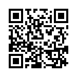 VI-J33-IX-B1 QRCode