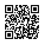 VI-J3X-IX-B1 QRCode