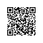 VJ0402D0R3CLBAC QRCode