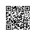 VJ0402D0R4BLCAP QRCode