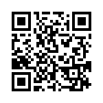 W33-T2C1Q-10 QRCode