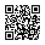 W79E4051RASG QRCode