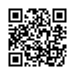 WW12FT93R1 QRCode