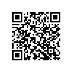 Y0062119R400T9L QRCode