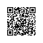 Y006295K3000B9L QRCode