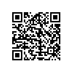 Y078650R0000V9L QRCode