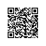 Y078933R3000B0L QRCode