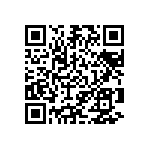 Y079316K9000B9L QRCode