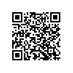 Y079338K3000T0L QRCode