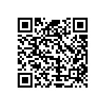 Y08753K90000T9L QRCode