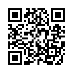 Y101132C102RQ QRCode