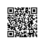 Y11211K06000T9R QRCode