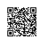 Y11691K25000B9L QRCode