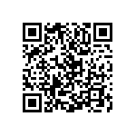 Y11691K38000T9R QRCode