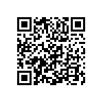 Y116945K3000T0R QRCode