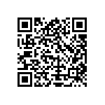 Y11696K97400T9L QRCode