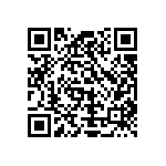 Y11721K30000T9W QRCode