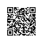 Y11723K16000B9R QRCode