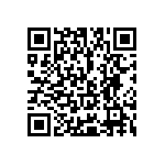 Y145313K0000V9L QRCode