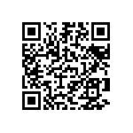 Y14531K41000T9L QRCode