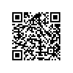 Y16241K20000T9R QRCode