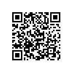 Y16246K65000B0W QRCode