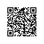 Y16247K20000T9R QRCode