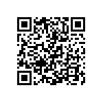 Y162512K4000T0W QRCode