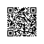 Y162513K0000T0W QRCode