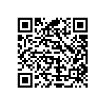 Y162516K0000T0W QRCode