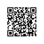 Y16251K00000T24W QRCode