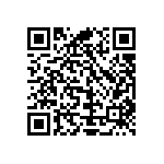 Y16251K80300T0R QRCode